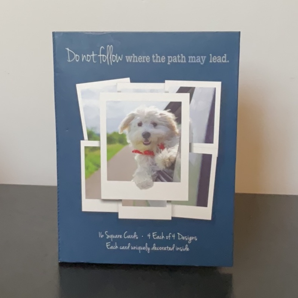 New Joy Ride 16 Square cards, “Do not follow where the path may lead “